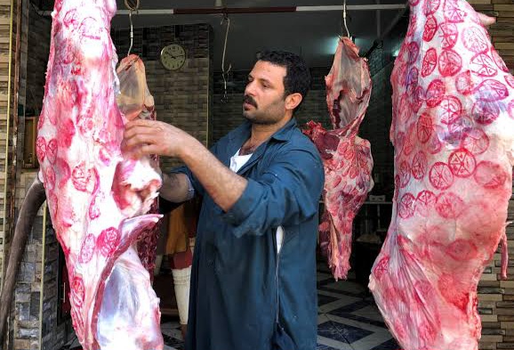 أرشيفية